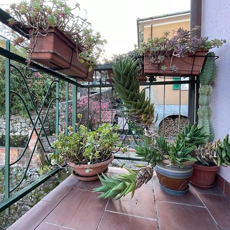 Tra Alpi Apuane E Cinque Terre.. Casetta Renata! Villa Valeriano Lunense Bagian luar foto