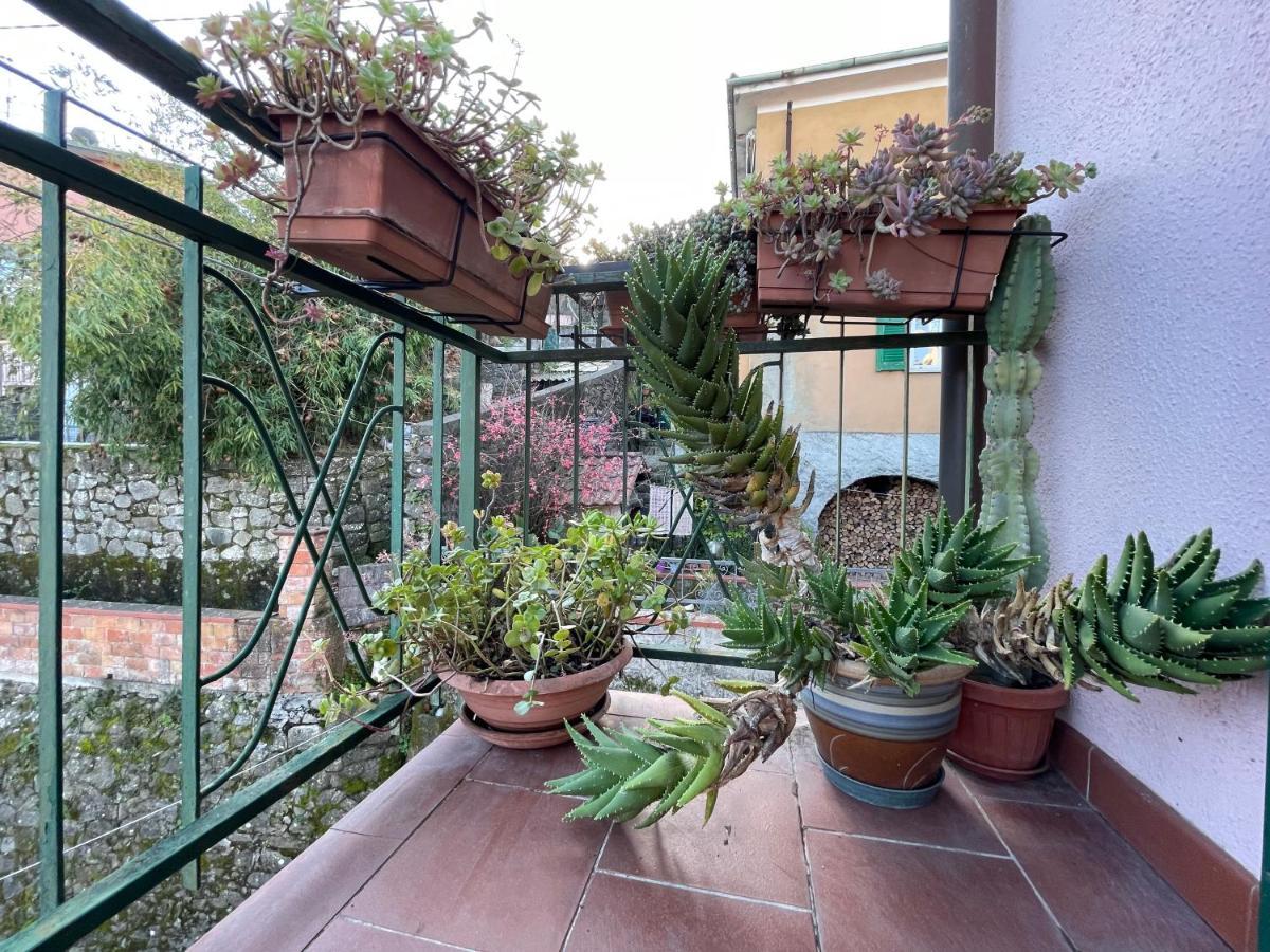 Tra Alpi Apuane E Cinque Terre.. Casetta Renata! Villa Valeriano Lunense Bagian luar foto